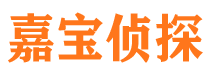 松阳寻人公司